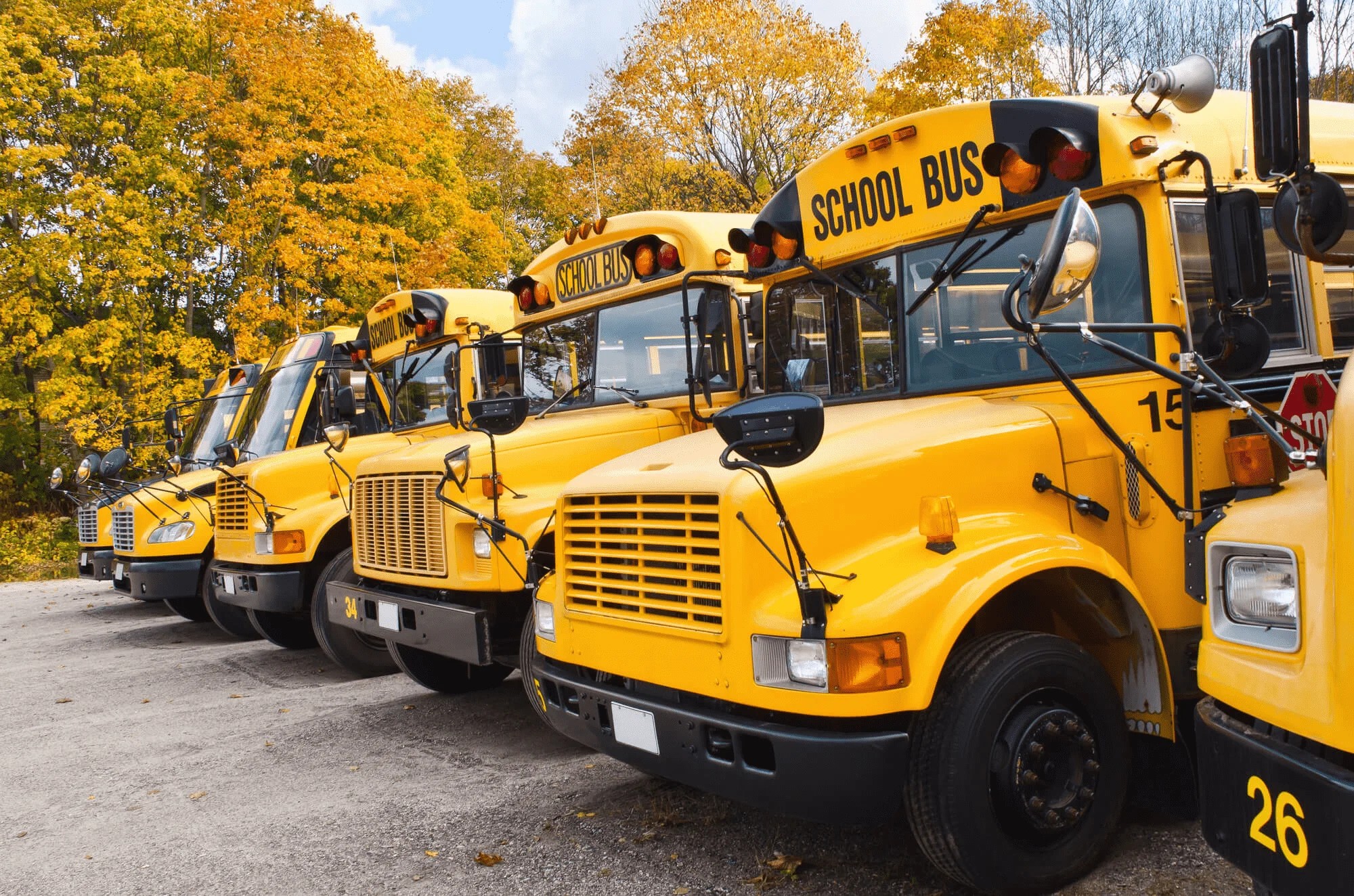 School Bus